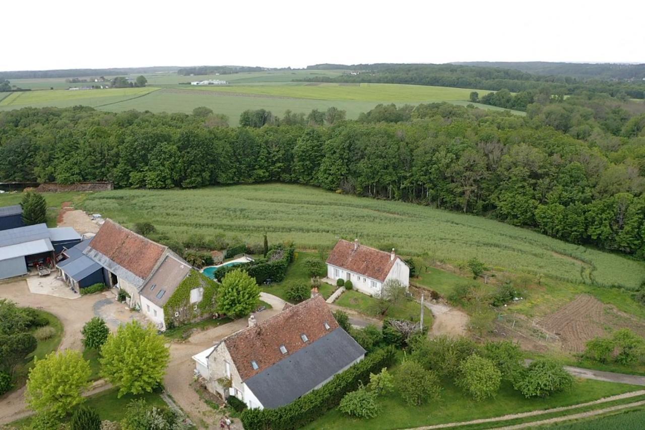 Chambres D Hotes De La Mauguiniere Neuillé-le-Lierre 外观 照片